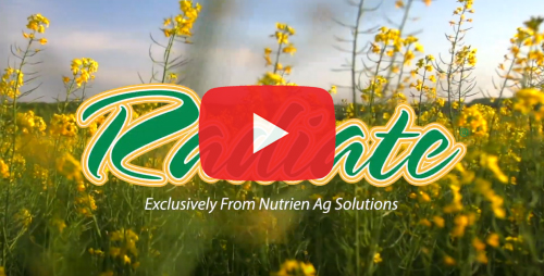 Link to Radiate video on YouTube
